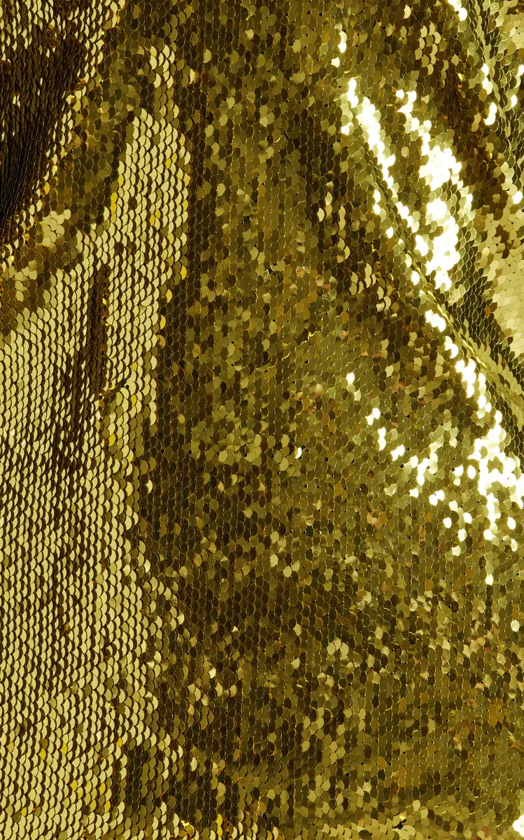 FRANÇOISE Exclusive Nina Sequined Tank Top | Thumbnail 6 FRANÇOISE Exclusive Nina Sequined Tank Top | Thumbnail 6