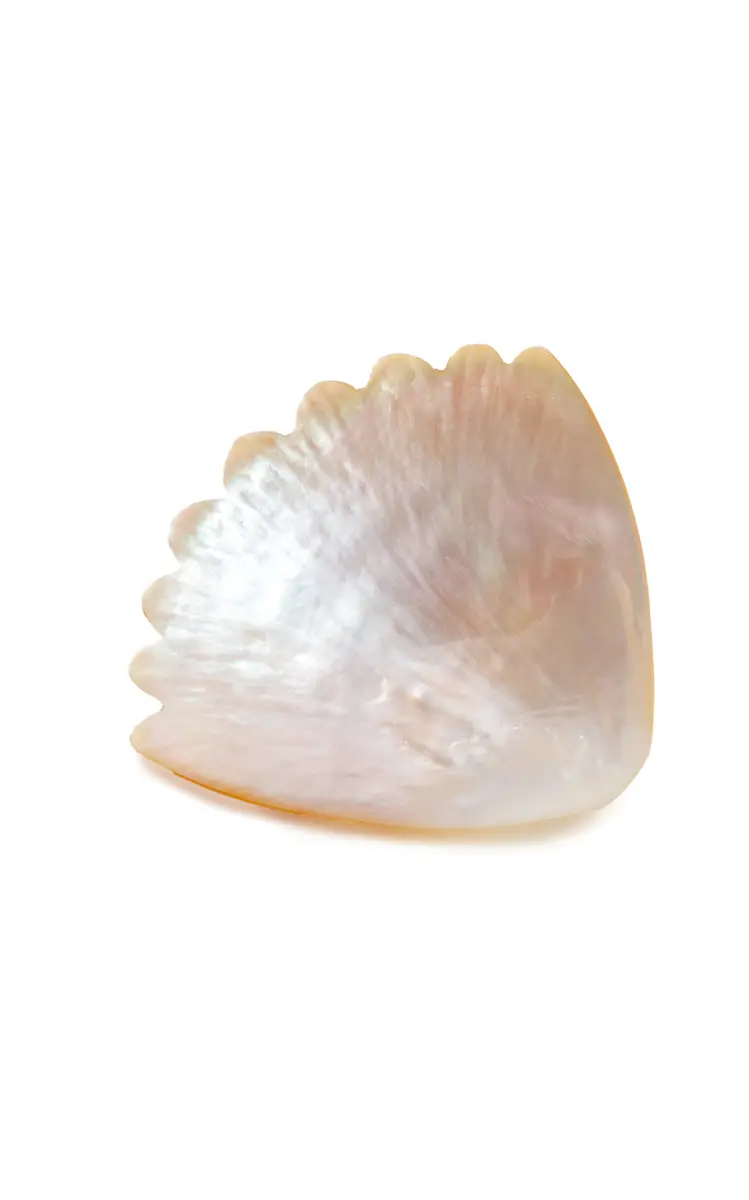 Coquille Dish; Mother Of Pearl - Multi