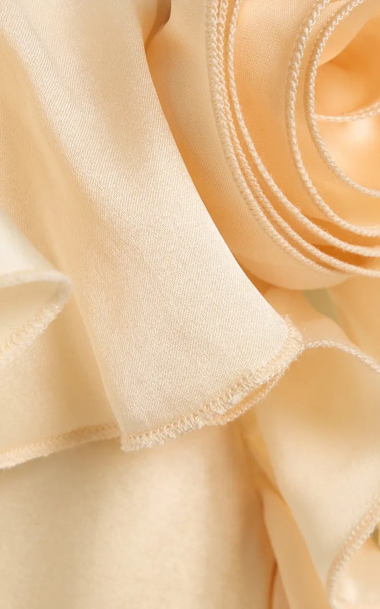 De La Vali Nema Ruffled Silk-Blend Satin Maxi Slip Dress | Thumbnail 5 De La Vali Nema Ruffled Silk-Blend Satin Maxi Slip Dress | Thumbnail 5