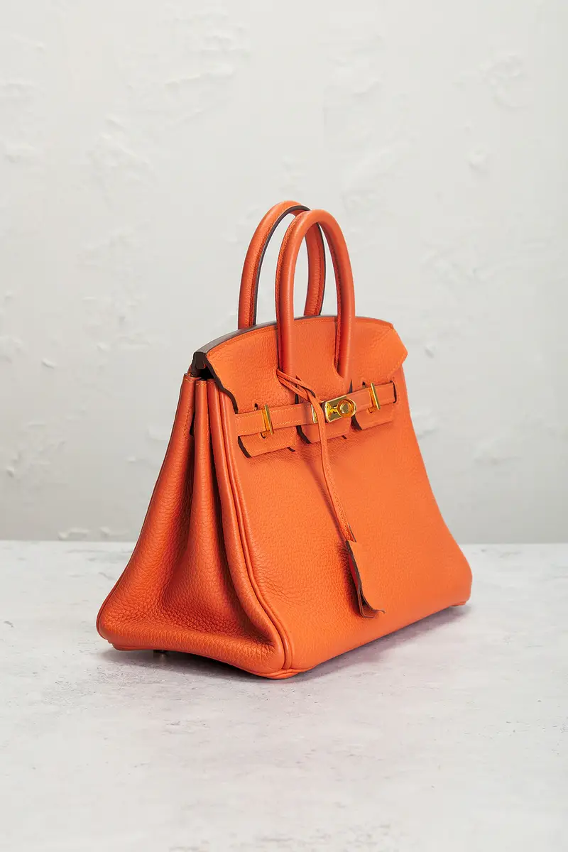 HERMÈS Chevre Birkin 25 Handbag | Thumbnail 6 HERMÈS Chevre Birkin 25 Handbag | Thumbnail 6