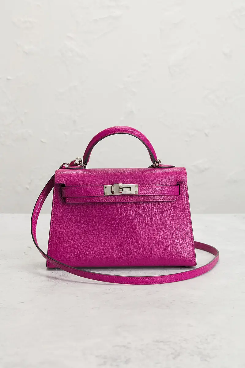 HERMÈS Chevre Kelly 20 Handbag | Thumbnail 4 HERMÈS Chevre Kelly 20 Handbag | Thumbnail 4