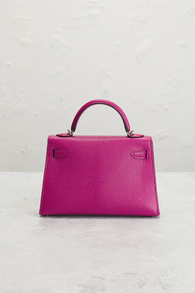 HERMÈS Chevre Kelly 20 Handbag | Thumbnail 5 HERMÈS Chevre Kelly 20 Handbag | Thumbnail 5