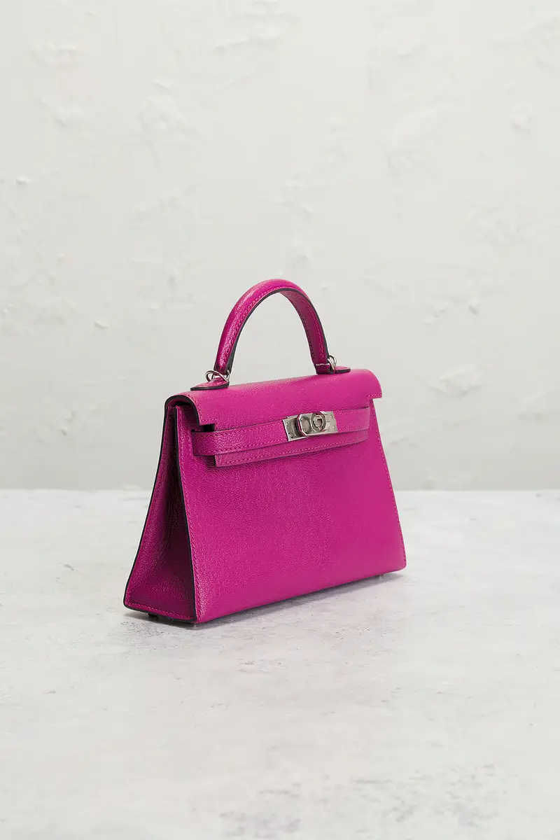 HERMÈS Chevre Kelly 20 Handbag | Thumbnail 6 HERMÈS Chevre Kelly 20 Handbag | Thumbnail 6