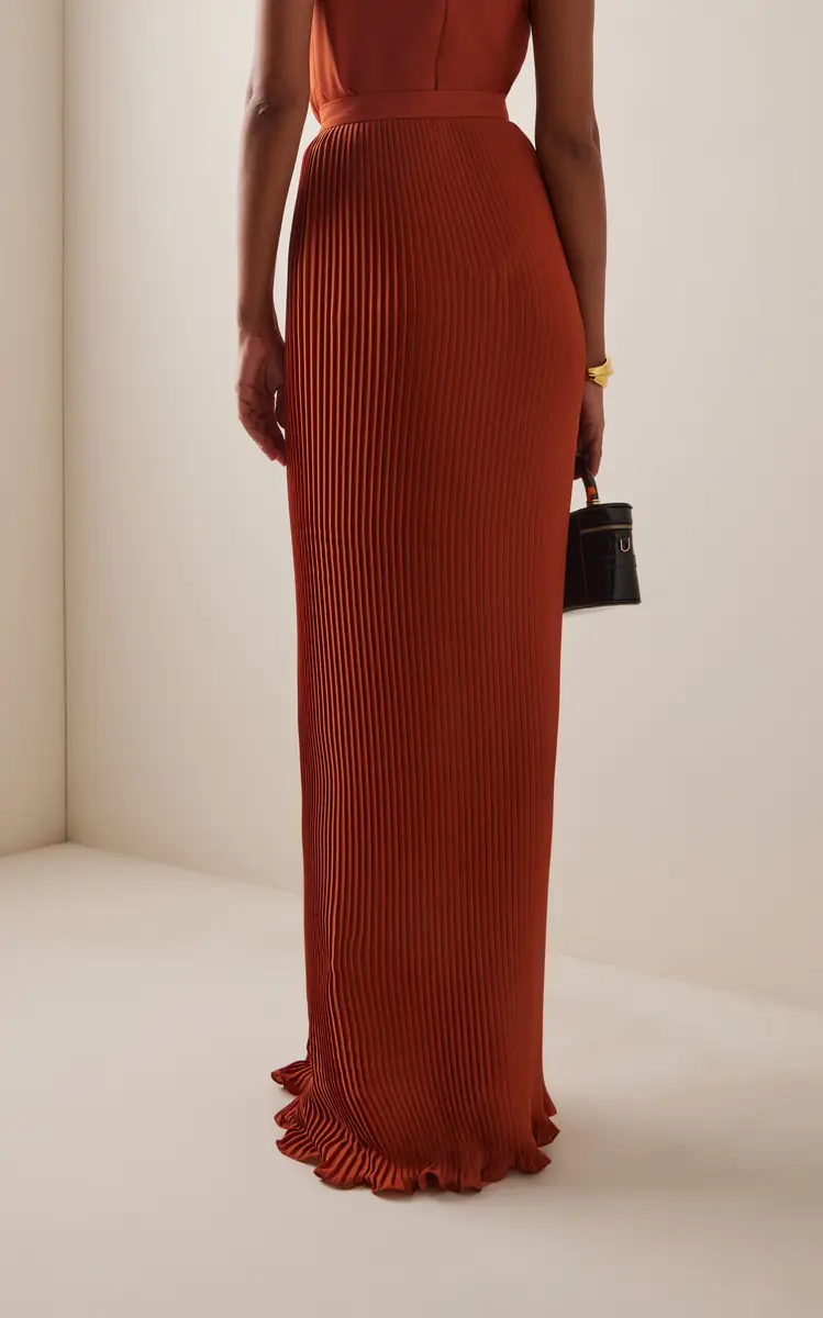 Elie Saab Plissé Chiffon Maxi Skirt | Thumbnail 4 Elie Saab Plissé Chiffon Maxi Skirt | Thumbnail 4
