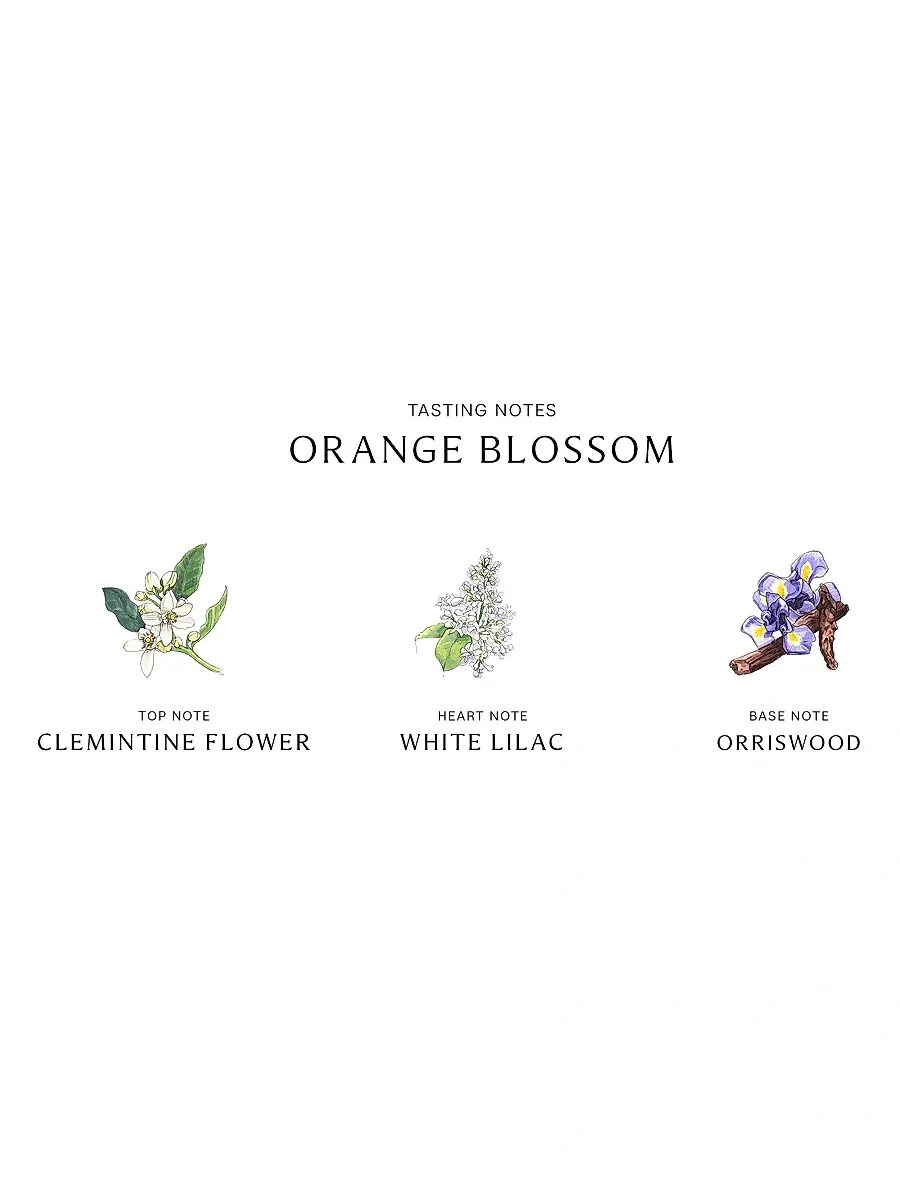 Jo Malone London Orange Blossom Body & Hand Lotion | Thumbnail 3 Jo Malone London Orange Blossom Body & Hand Lotion | Thumbnail 3