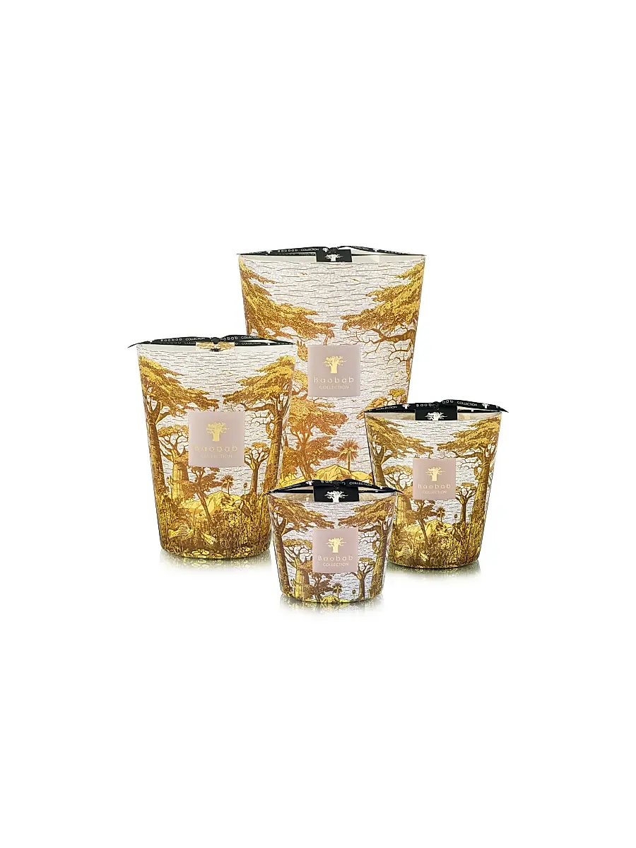 Baobab Sacred Trees Boukani Scented Candle | Thumbnail 3 Baobab Sacred Trees Boukani Scented Candle | Thumbnail 3