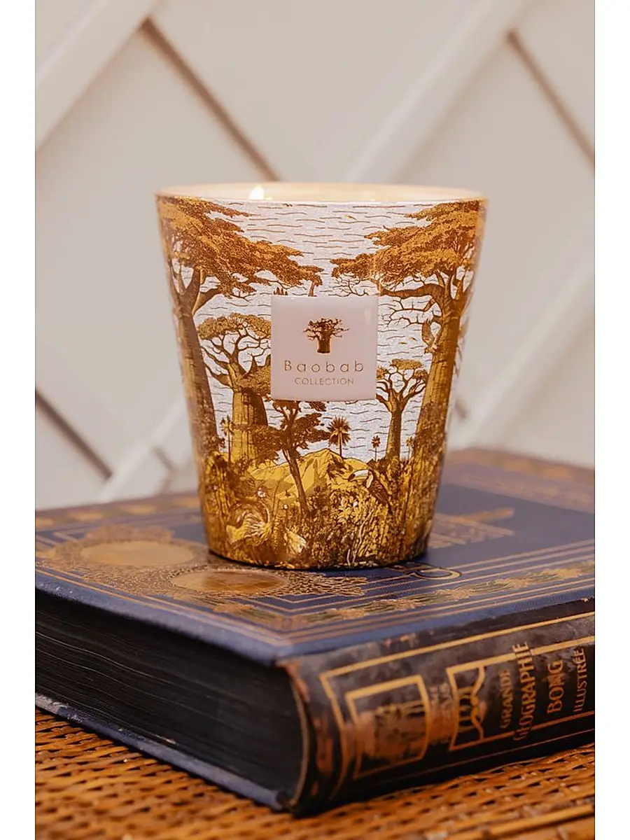 Baobab Sacred Trees Boukani Scented Candle | Thumbnail 4 Baobab Sacred Trees Boukani Scented Candle | Thumbnail 4