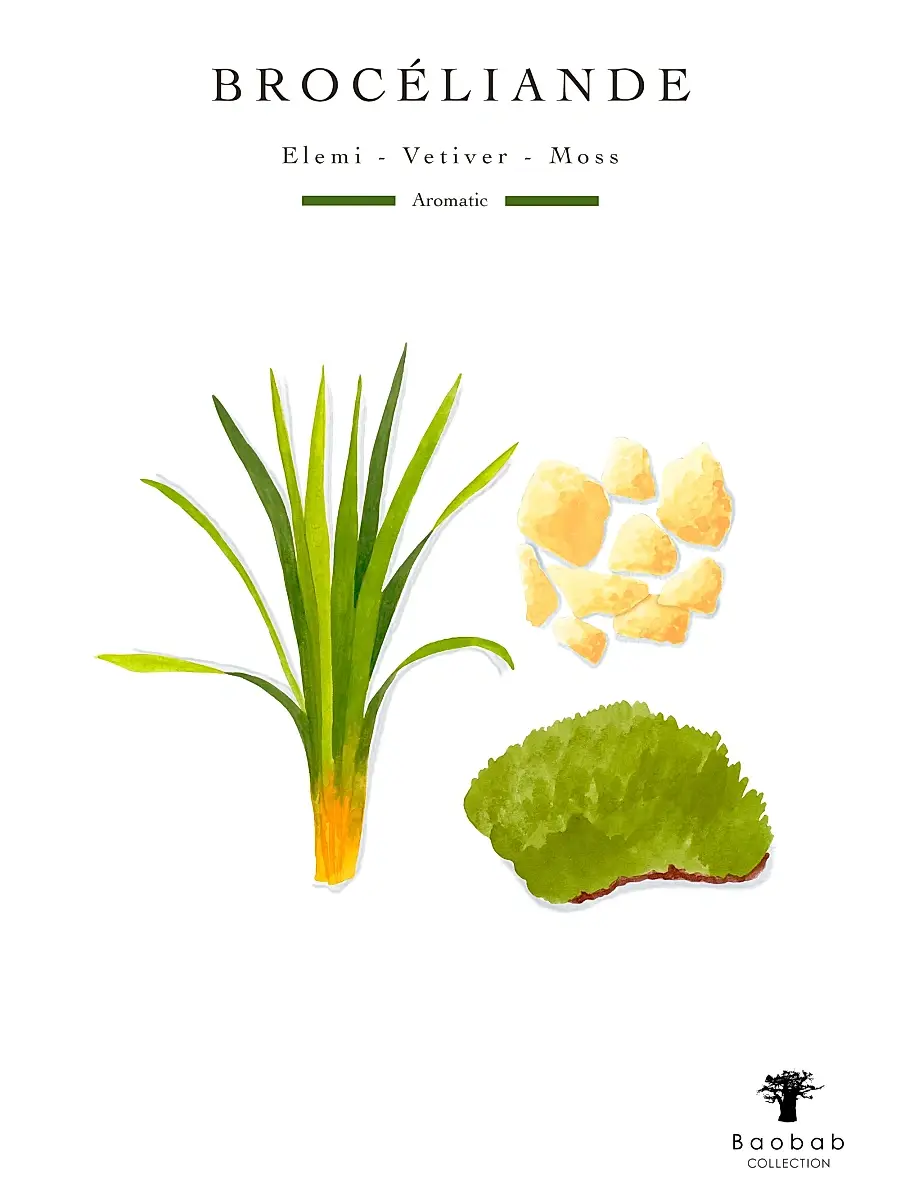 Baobab Woods Broceliande Scented Candle | Thumbnail 2