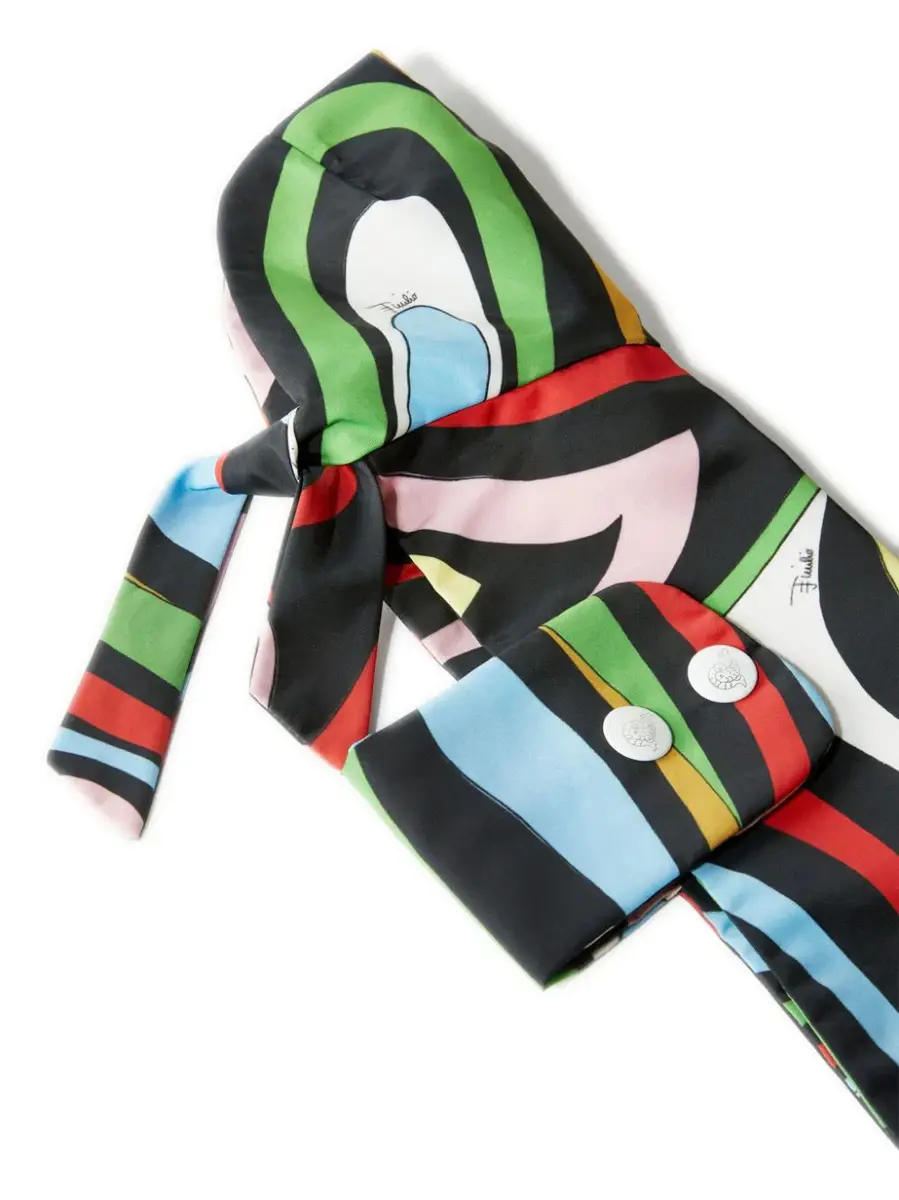 PUCCI Marmo-Print Dog Raincoat | Thumbnail 2 PUCCI Marmo-Print Dog Raincoat | Thumbnail 2