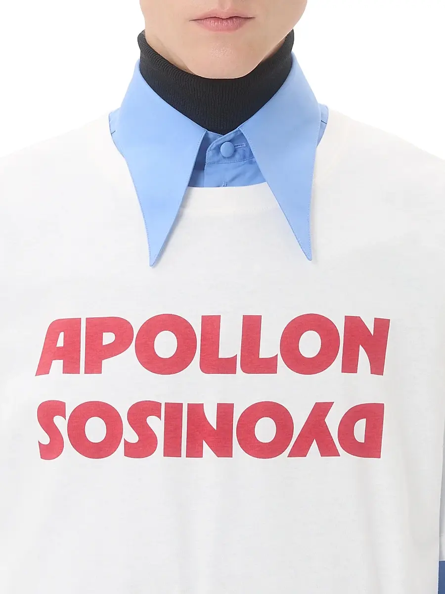 Valentino Men's Cotton T-Shirt with Apollon Dyonisos Print | Thumbnail 5