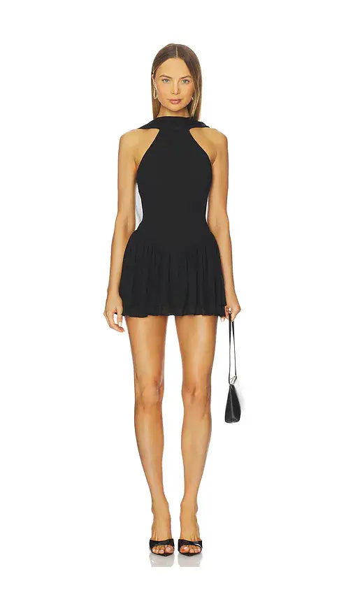 Lovers and Friends Willow Mini Dress