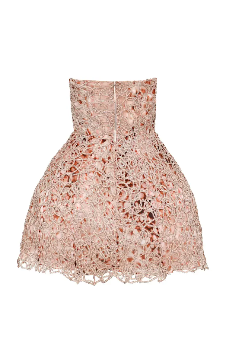 Francesca Miranda Peony Embroidered Silk Blend Mini Dress | Thumbnail 4