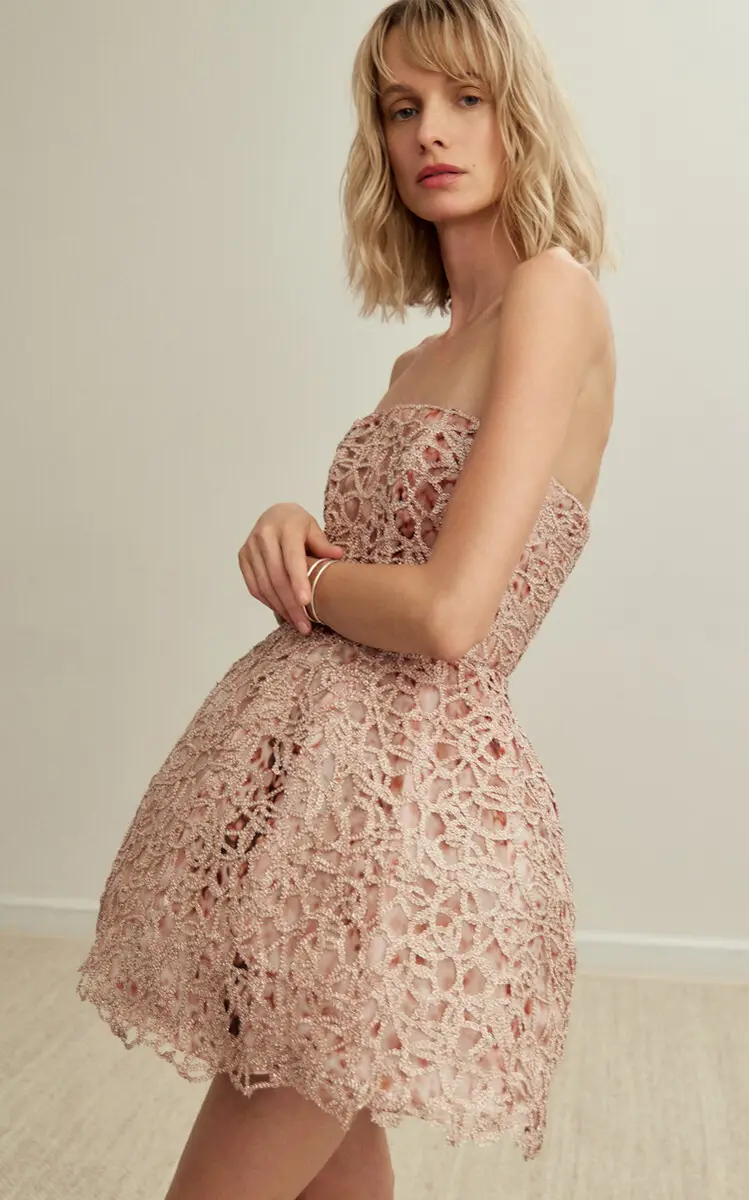Francesca Miranda Peony Embroidered Silk Blend Mini Dress | Thumbnail 5