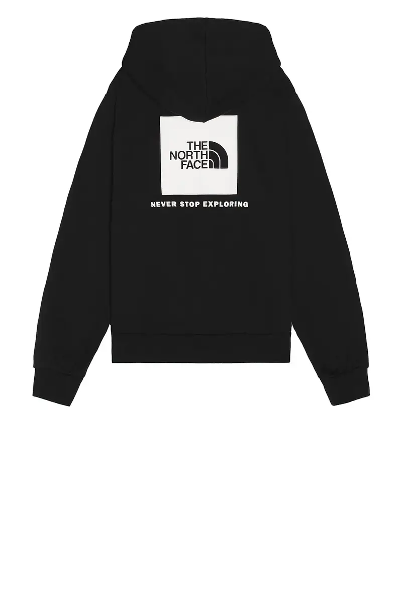 The North Face Evolution Box NSE Hoodie | Thumbnail 3