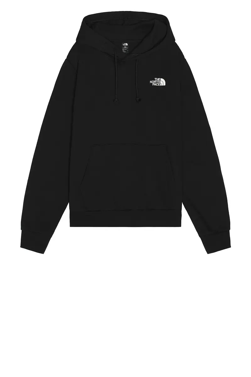 The North Face Evolution Box NSE Hoodie | Thumbnail 4