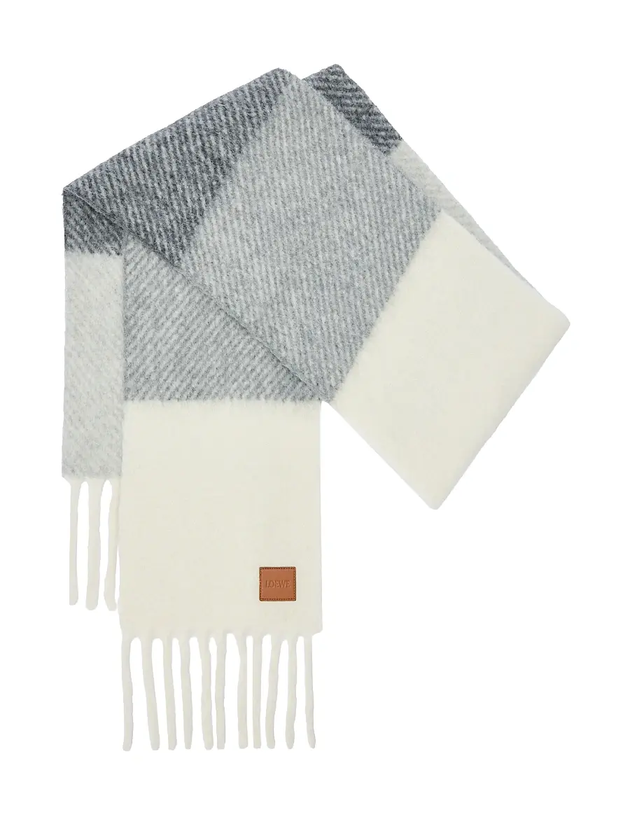 Loewe Women's Colorblocked Scarf