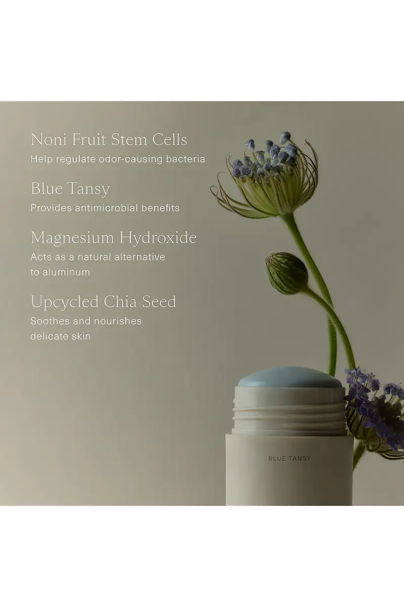 Oak Essentials Microbiome Balancing Deodorant | Thumbnail 7 Oak Essentials Microbiome Balancing Deodorant | Thumbnail 7