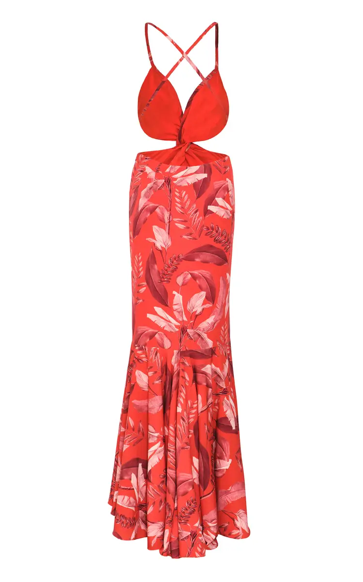 ANDRES OTALORA La Sierpe Cutout Printed Crepe Maxi Dress | Thumbnail 3