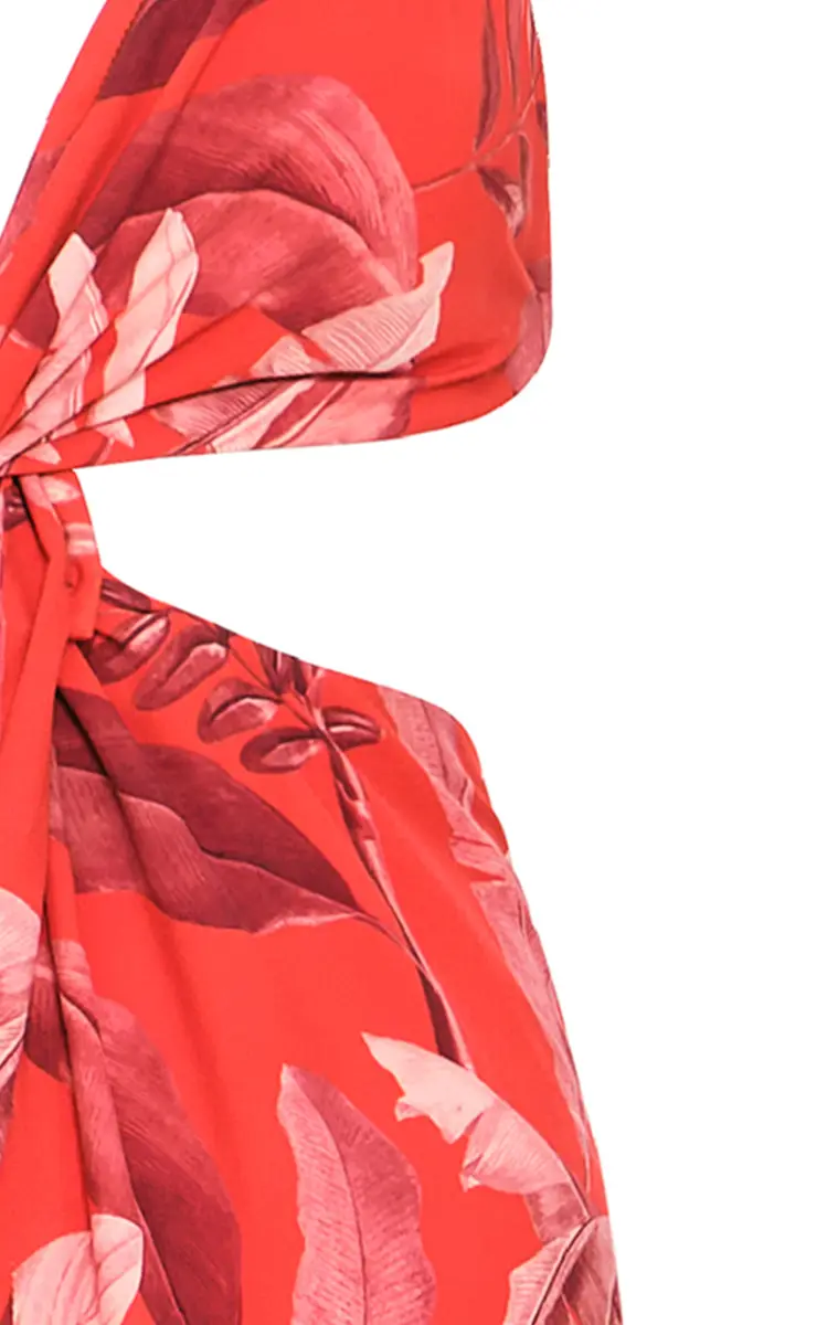ANDRES OTALORA La Sierpe Cutout Printed Crepe Maxi Dress | Thumbnail 4
