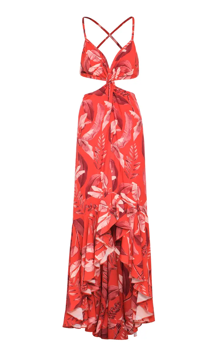 ANDRES OTALORA La Sierpe Cutout Printed Crepe Maxi Dress | Thumbnail 5
