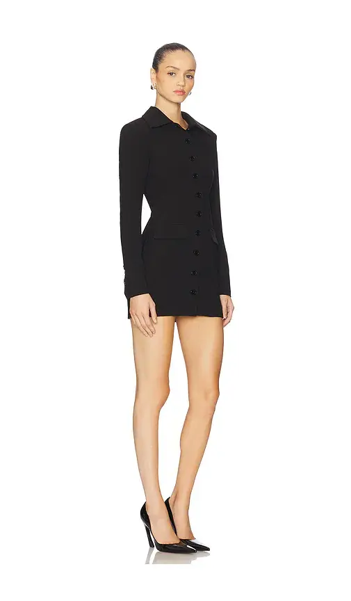 ALL THE WAYS Alina Mini Dress | Thumbnail 2