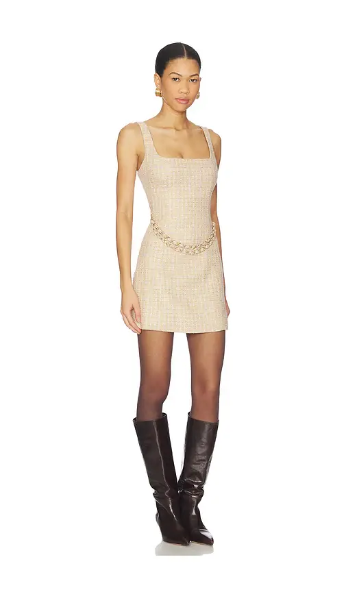 Lovers and Friends Brynn Mini Dress | Thumbnail 2