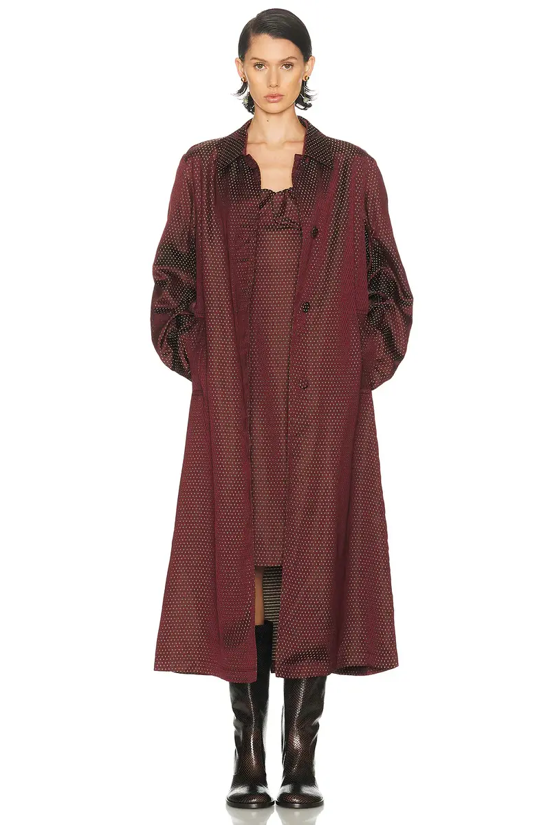 Dries Van Noten Dirios Dress | Thumbnail 4