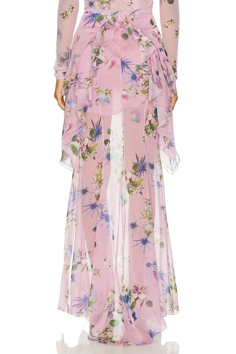 BLUMARINE Chiffon Sheer Skirt | Thumbnail 4