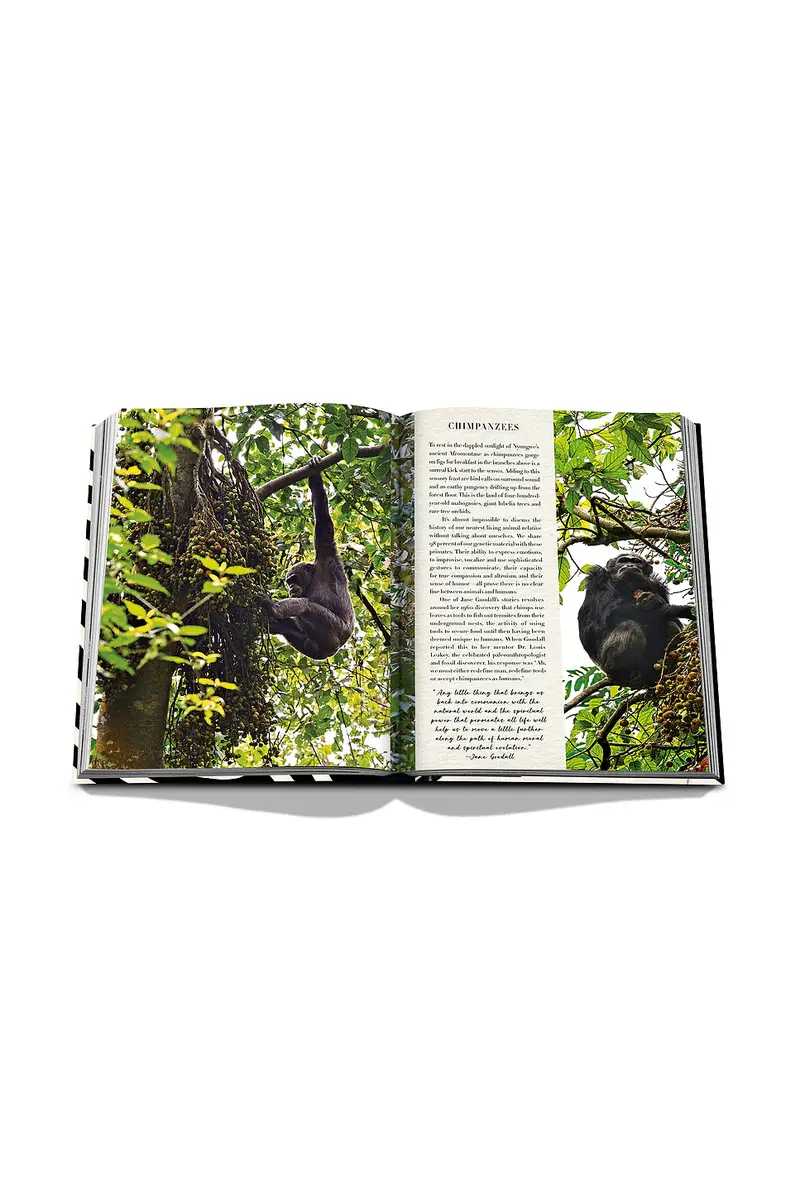 ASSOULINE African Adventures: The Greatest Safari On Earth | Thumbnail 11 ASSOULINE African Adventures: The Greatest Safari On Earth | Thumbnail 11