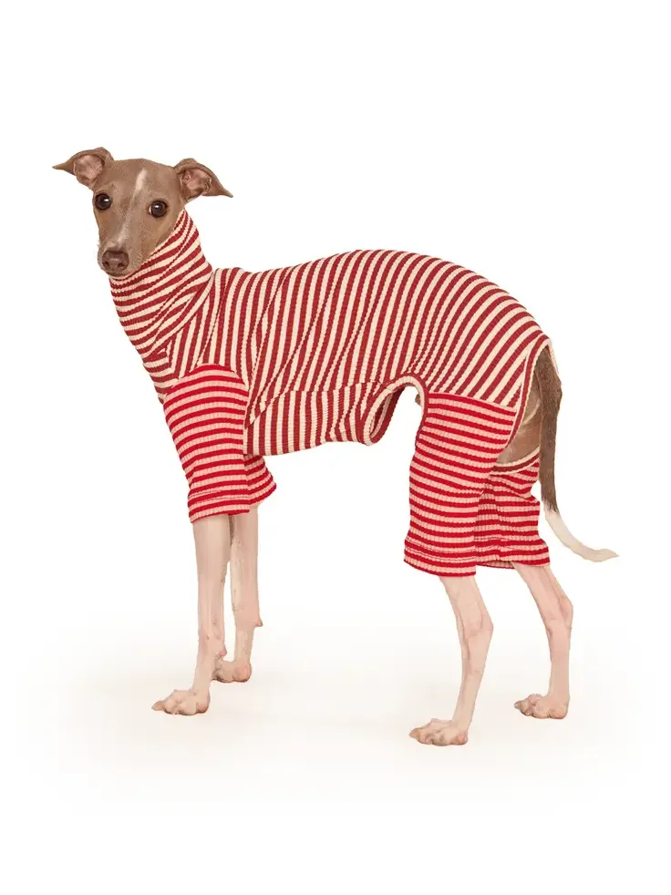 Stretch-Cotton Dog Onesie Stretch-Cotton Dog Onesie