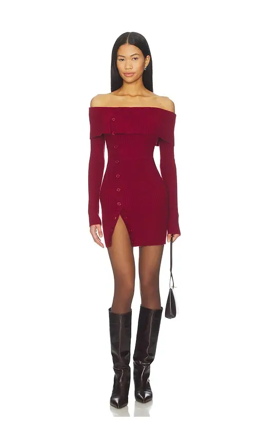 Lovers and Friends Lexi Mini Dress