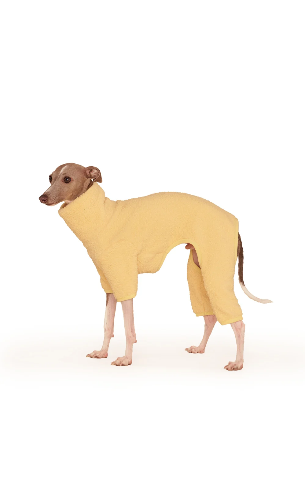 Fleece Dog Onesie