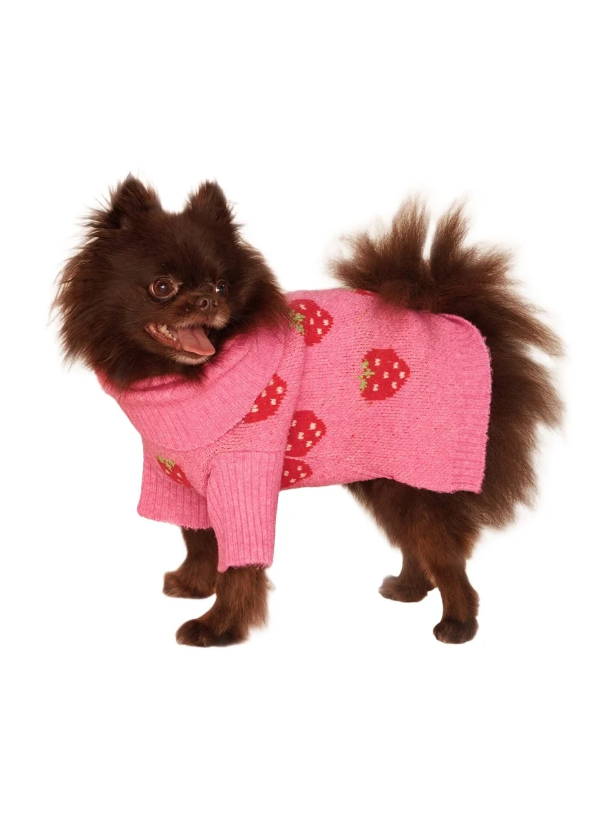 Little Beast The Strawberry Dog Sweater
