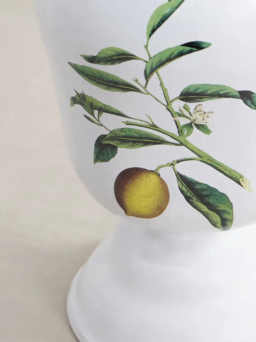 Astier De Villatte + John Derian Ceramic Vase | Thumbnail 3