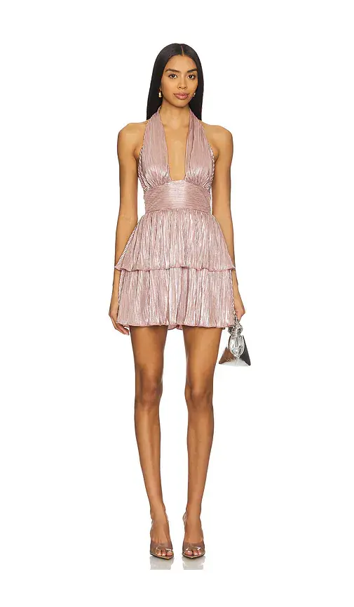 Lovers and Friends Nellie Mini Dress