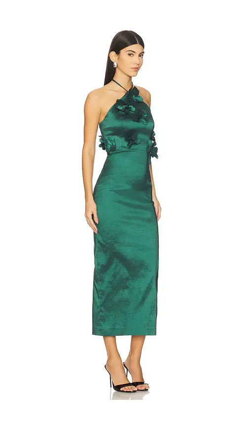 Kika Vargas Megertu Dress | Thumbnail 2