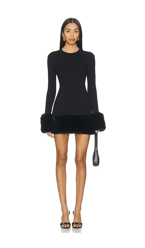 Show Me Your Mumu Drescher Mini Dress