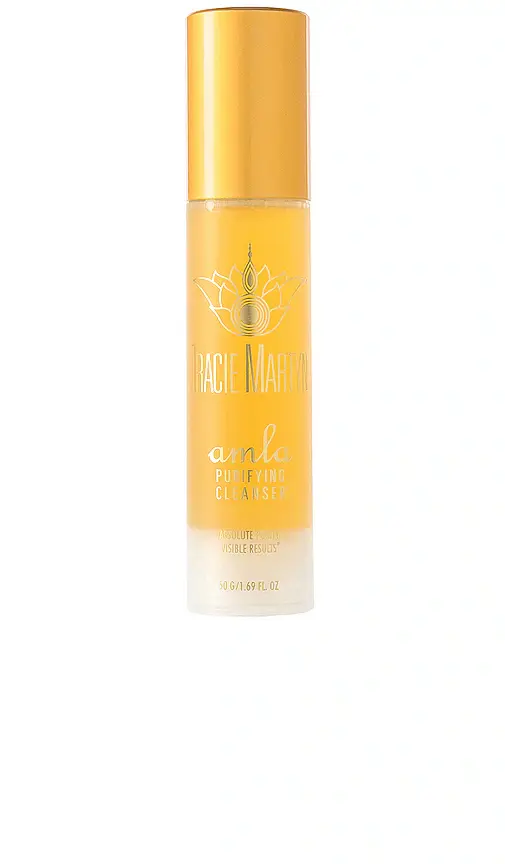Tracie Martyn Amla Purifying Cleanser.