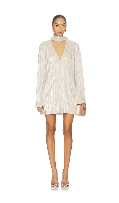 Lovers and Friends Kit Mini Dress