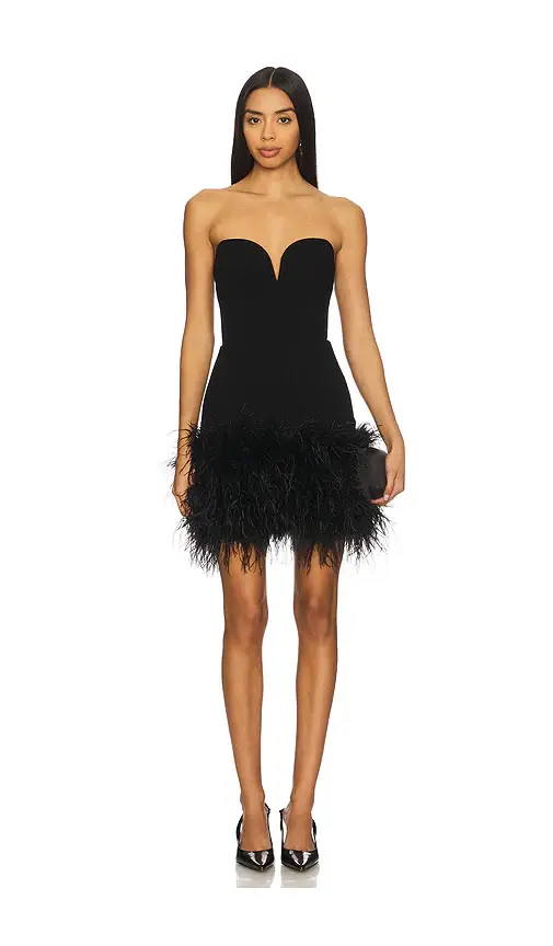 SANS FAFF Posey Mini Feather Dress | Image 1 SANS FAFF Posey Mini Feather Dress | Image 1