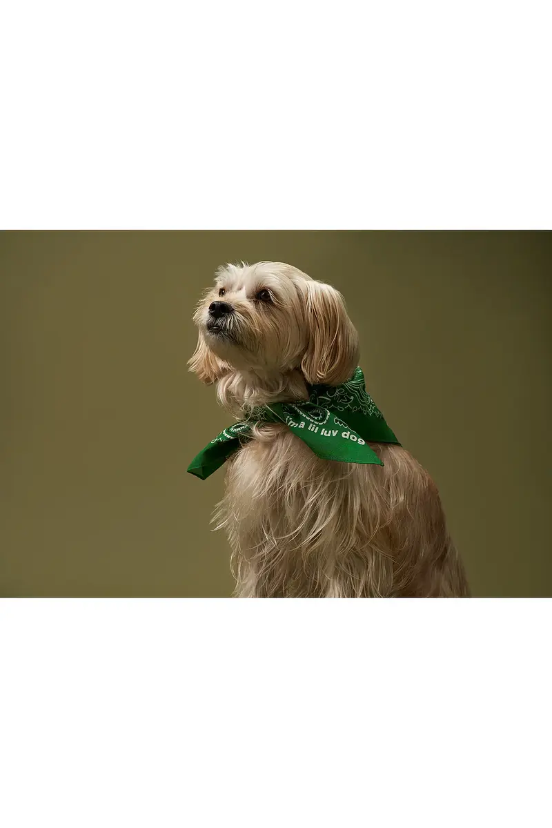 Lil Luv Dog Bandana | Thumbnail 4 Lil Luv Dog Bandana | Thumbnail 4