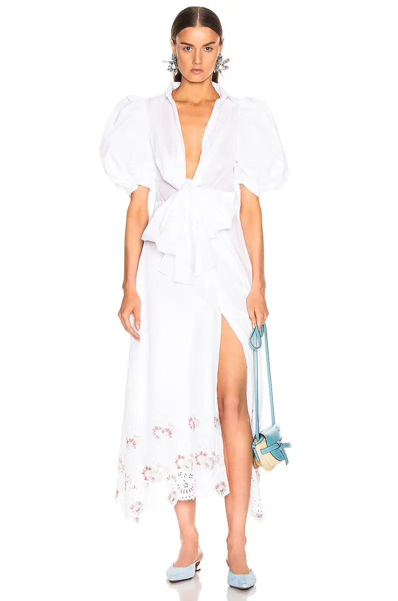Silvia Tcherassi for FWRD Embroidered Assunta Dress