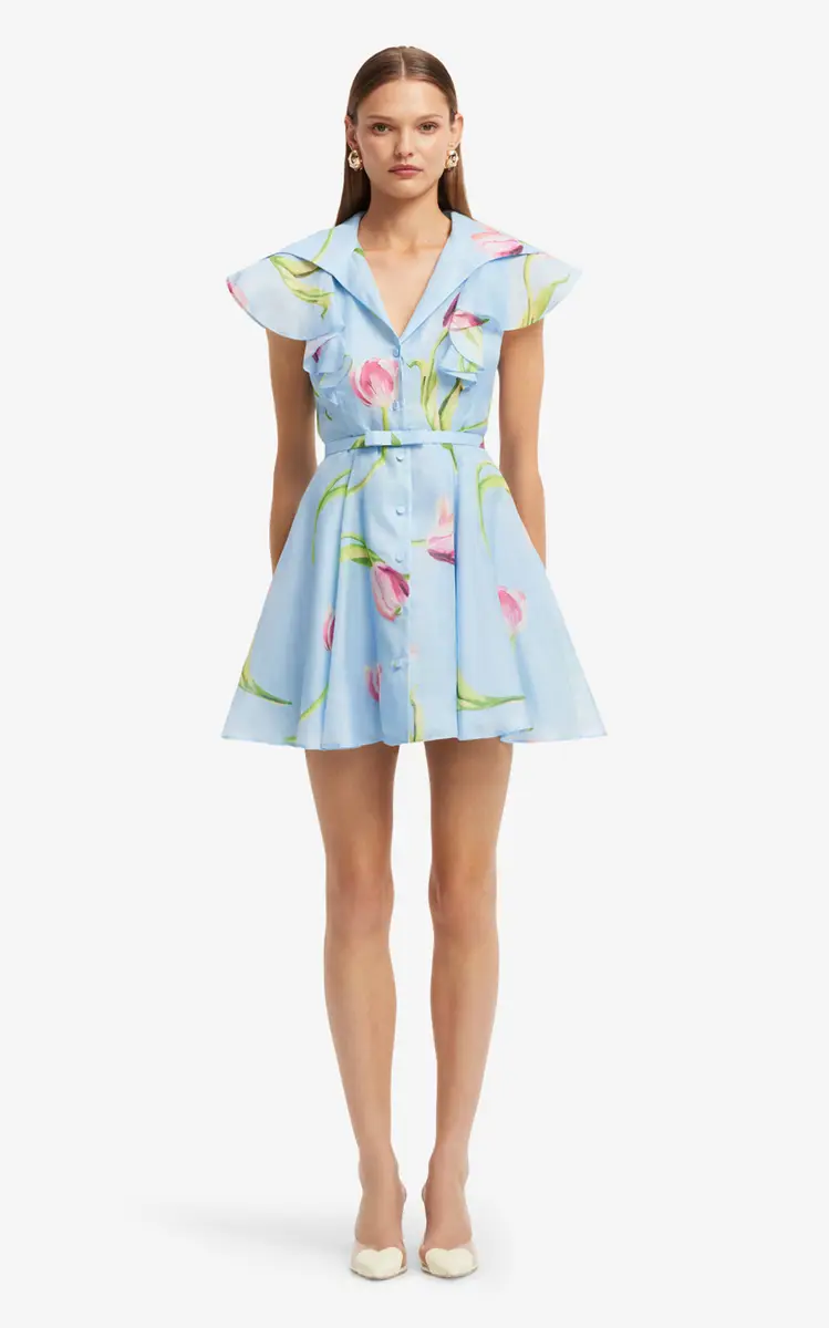 LEO LIN Isla Floral-Print Button-Up Linen-Silk Mini Dress | Thumbnail 2 LEO LIN Isla Floral-Print Button-Up Linen-Silk Mini Dress | Thumbnail 2