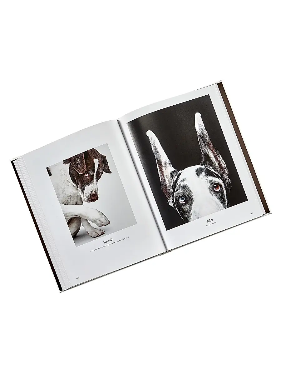Graphic Image ''Good Dog'' Leather-Bound Book | Thumbnail 7 Graphic Image ''Good Dog'' Leather-Bound Book | Thumbnail 7