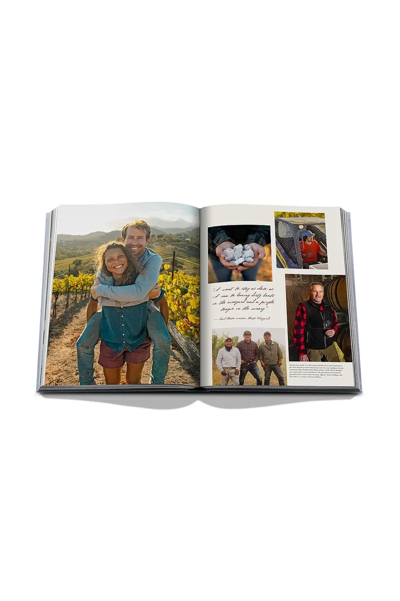 ASSOULINE Wine & Travel USA | Thumbnail 7