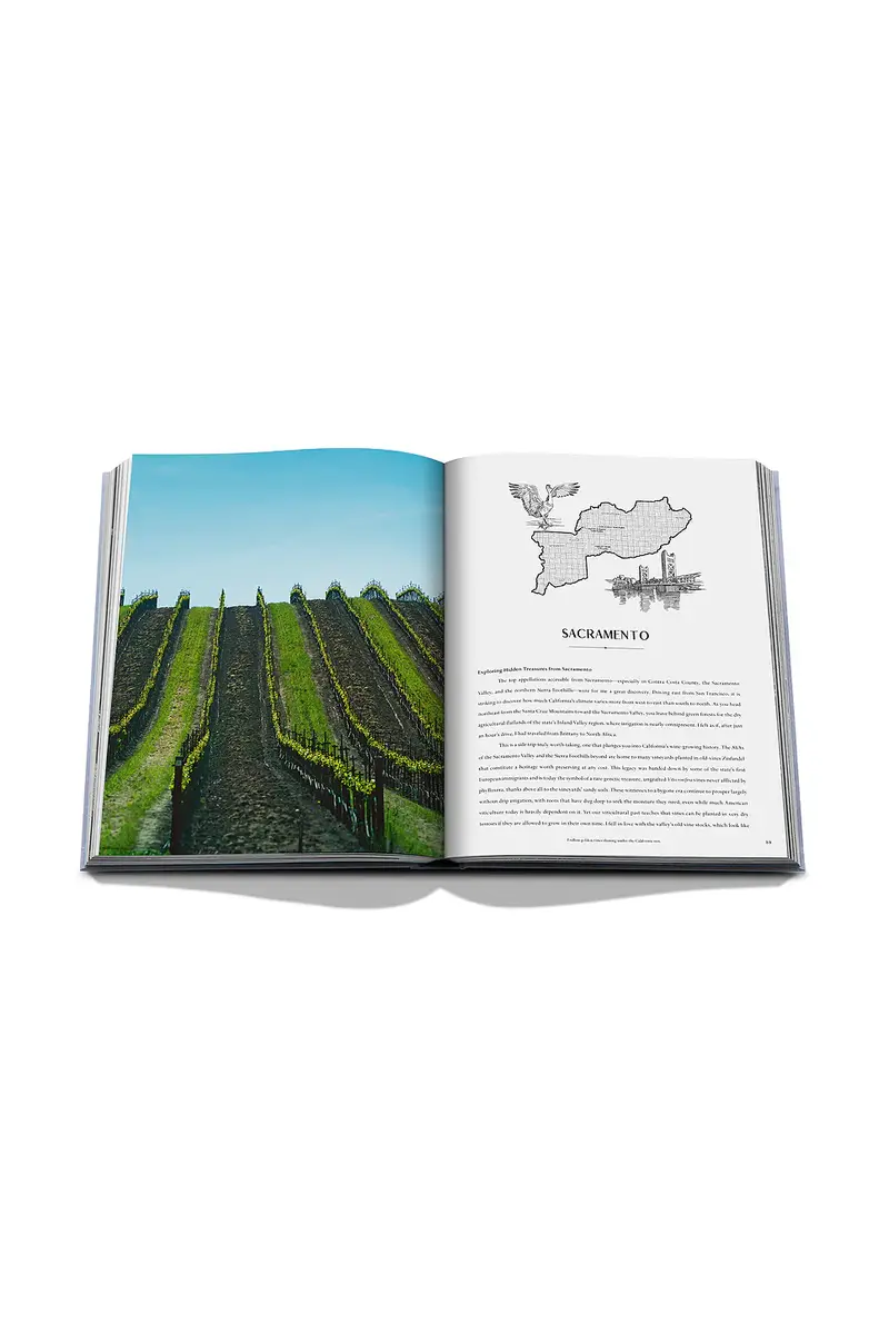 ASSOULINE Wine & Travel USA | Thumbnail 9