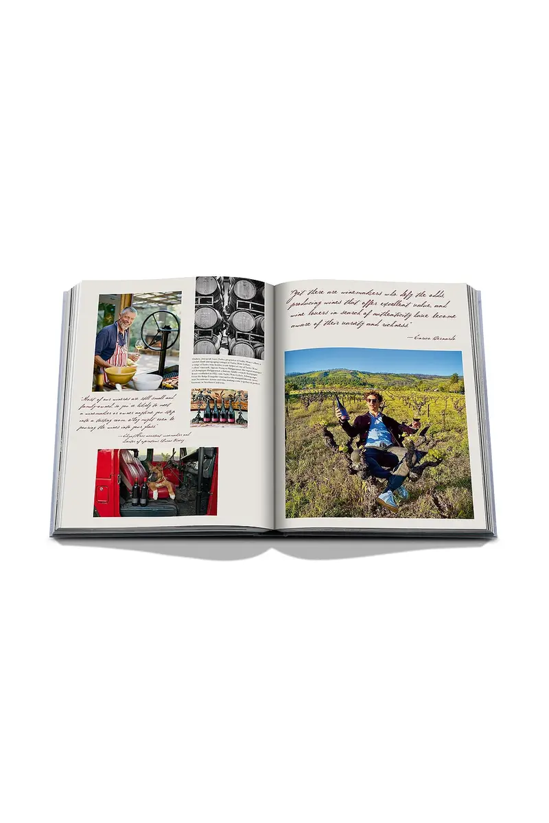 ASSOULINE Wine & Travel USA | Thumbnail 10