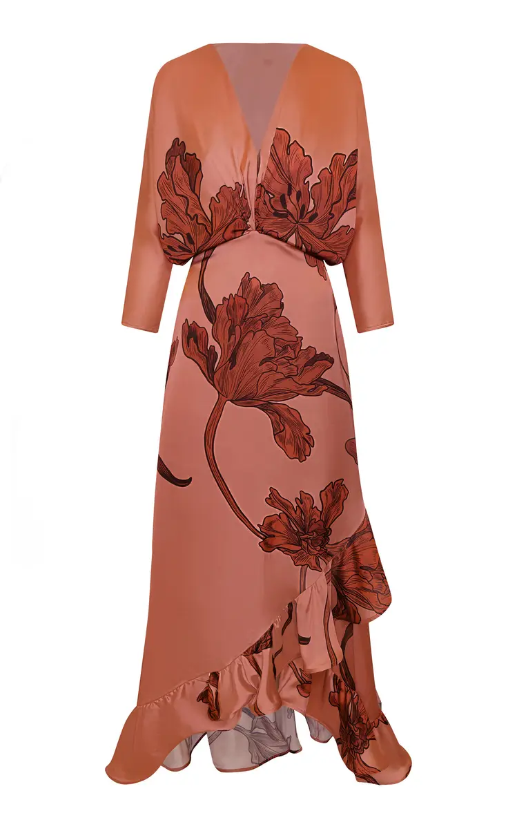 ANDRES OTALORA Lo Ancestral Printed Maxi Dress | Thumbnail 2 ANDRES OTALORA Lo Ancestral Printed Maxi Dress | Thumbnail 2