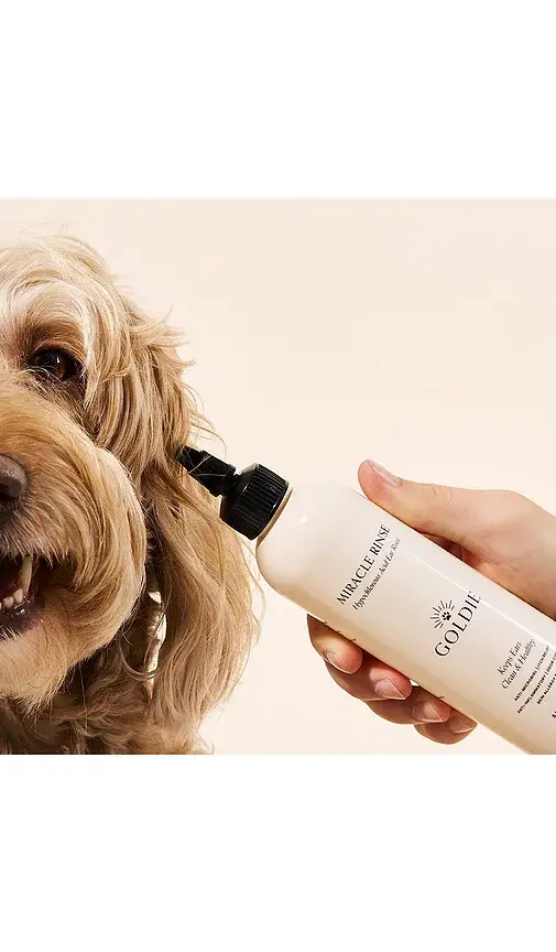 Goldie Dog Essentials Miracle Rinse | Thumbnail 2 Goldie Dog Essentials Miracle Rinse | Thumbnail 2