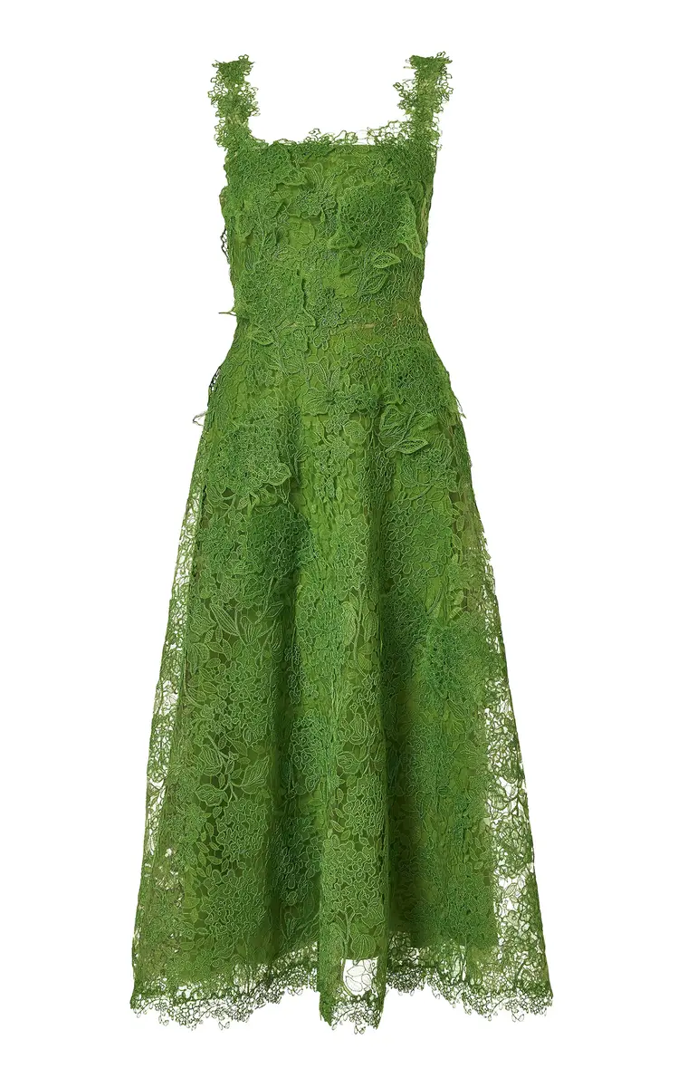 Carolina Herrera Hydrangea Floral Lace Midi Dress | Image 1 Carolina Herrera Hydrangea Floral Lace Midi Dress | Image 1